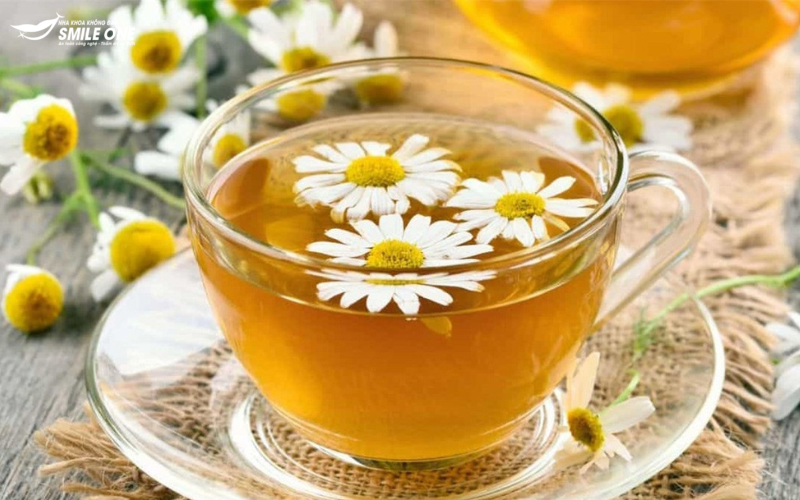 chữa nhiệt miệng bằng trà hoa cúc