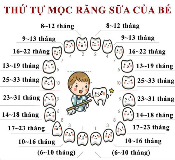 thu-tu-moc-rang-sua-cua-tre