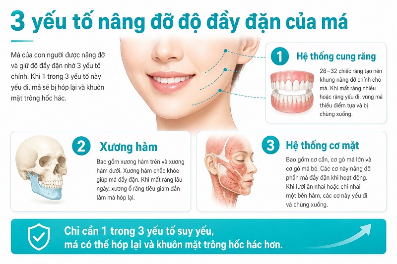 Niềng răng có bị hóp má không