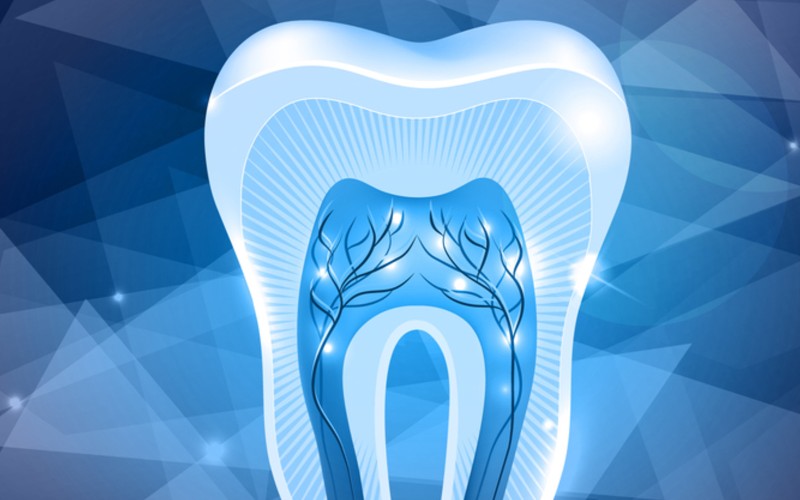 Lưu trữ tế bào gốc từ tủy răng sữa giúp chữa được nhiều bệnh lý răng miệng