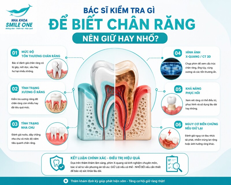 Bác sĩ cần kiểm tra trực tiếp chân răng, nướu, độ chắc của răng